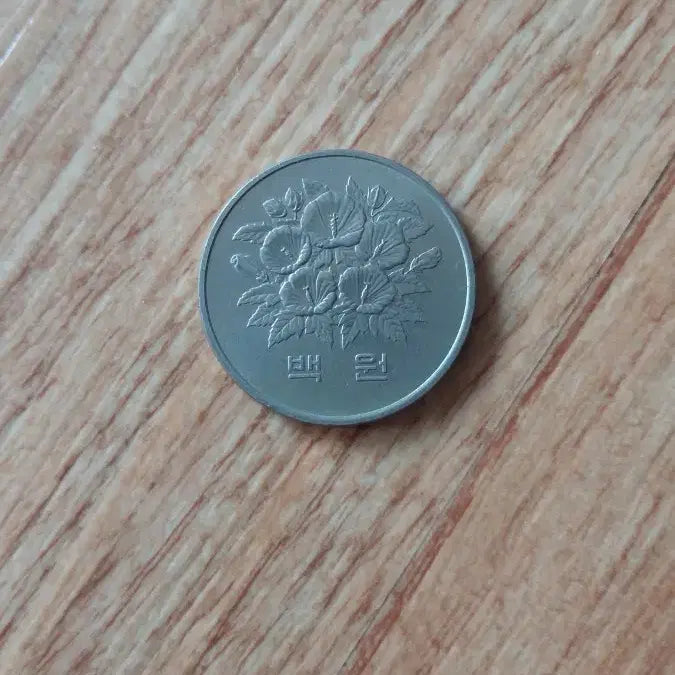 [BUNJANG] 1981 100 Won Coin / 1981년 발행 100원 동전