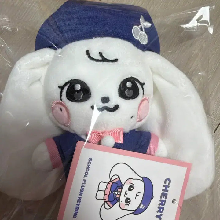 [BUNJANG] IVE MiniB School Cherry Tanning Cherry Bundle Set / 아이브 미니브 스쿨체리, 태닝체리 일괄 판매