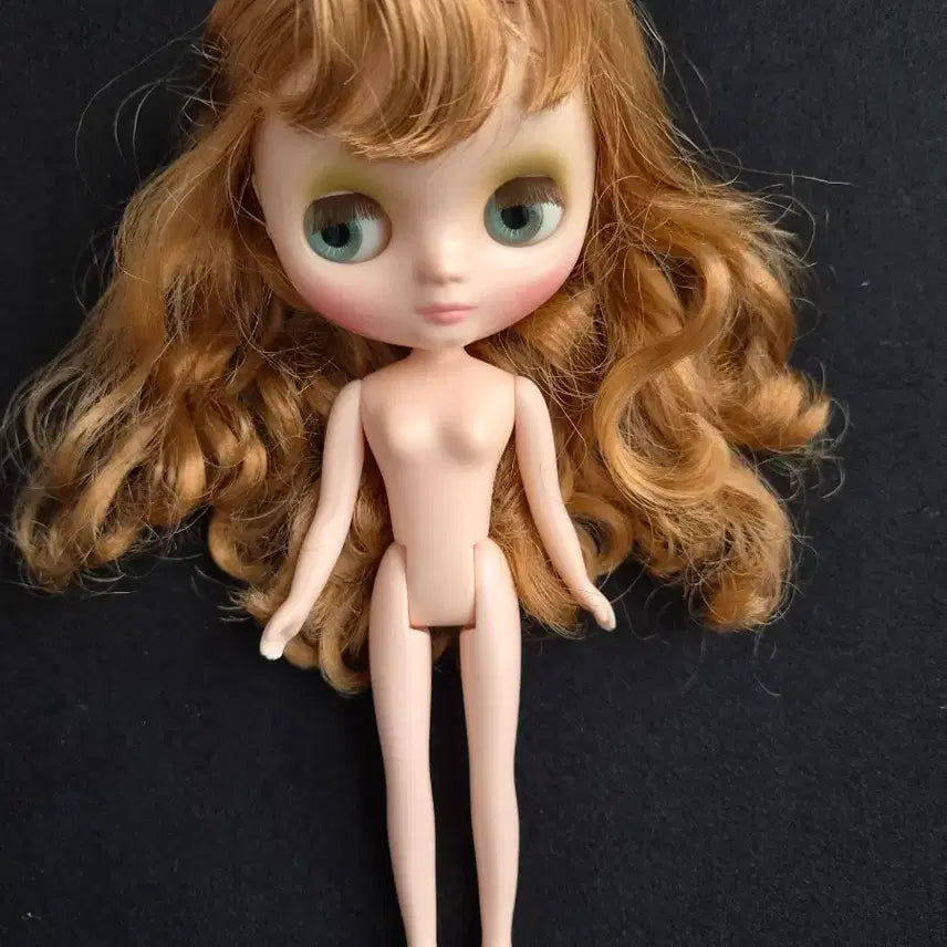 [BUNJANG] Middie Blythe Doll / 미디브라이스