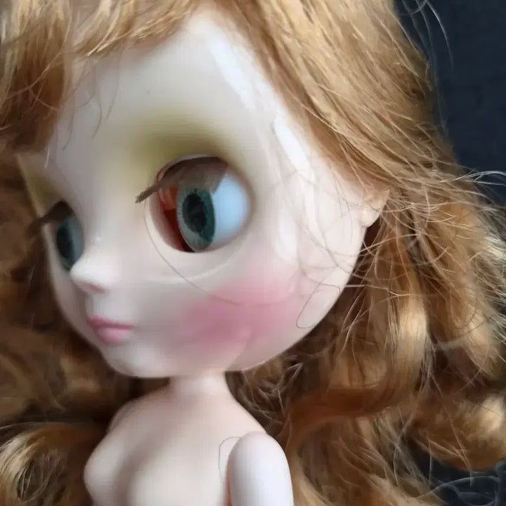 [BUNJANG] Middie Blythe Doll / 미디브라이스