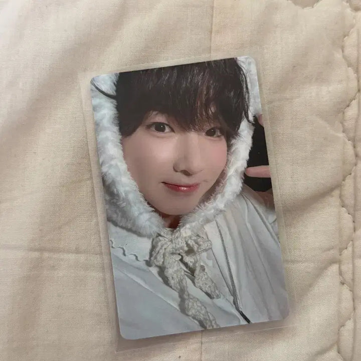 [BUNJANG] NCT WISH Sakuya Photocard / 엔시티위시 사쿠야 포카