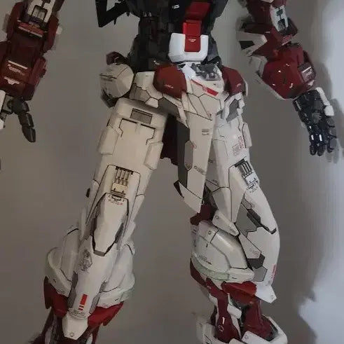 [BUNJANG] Bandai PG Astray Custom Painted Model / 반다이 pg아스트레이 개수 풀도색작