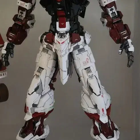[BUNJANG] Bandai PG Astray Custom Painted Model / 반다이 pg아스트레이 개수 풀도색작