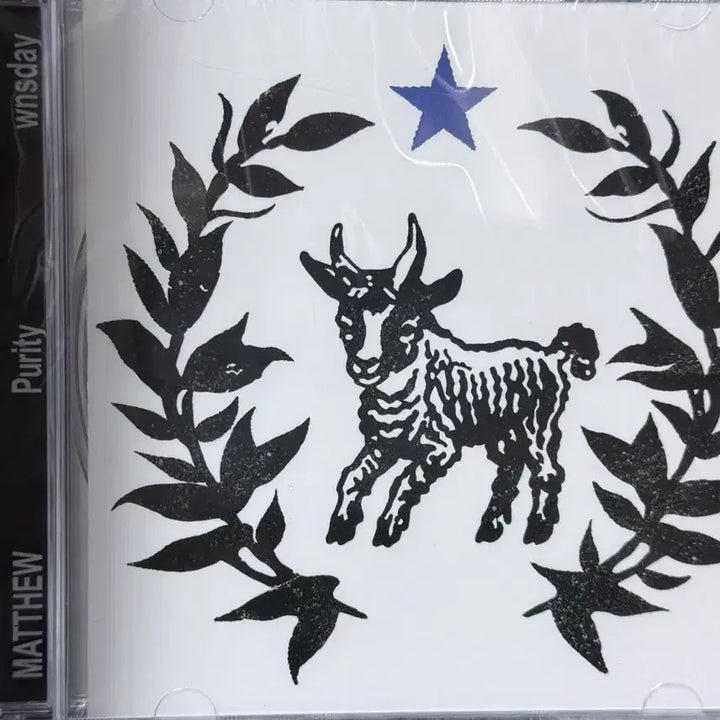 [BUNJANG] Matthew Purity Album CD (Sealed/Signed Edition) / [미개봉/사인반] 오카시 매튜 Purity 앨범 CD