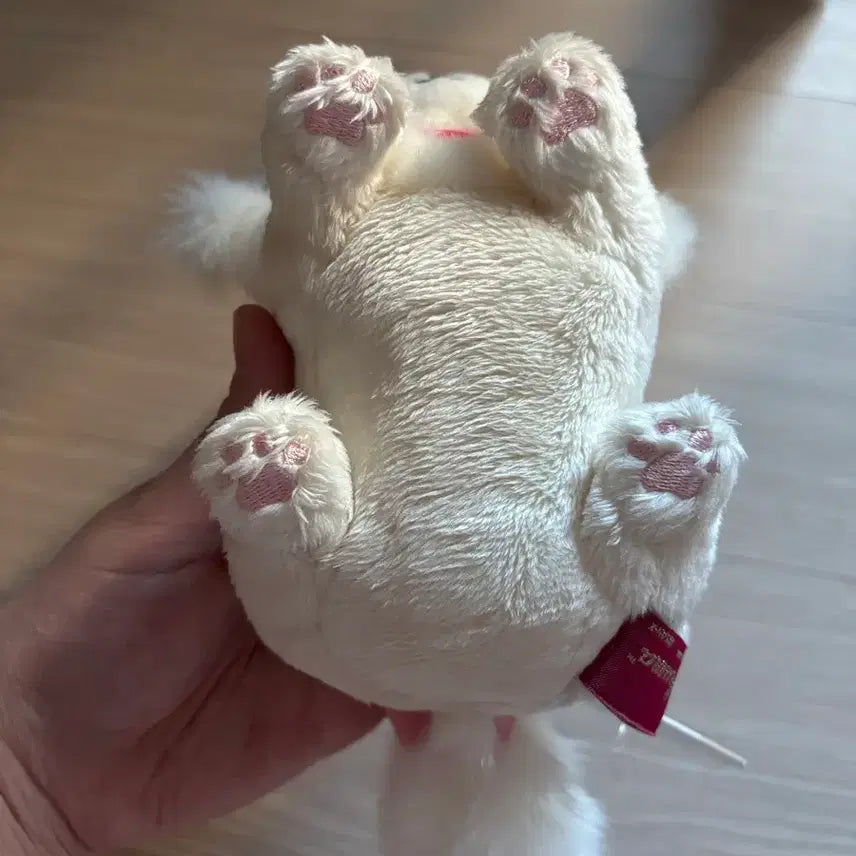[BUNJANG] Rilakkuma Korilakkuma Button Cat Plush / 코리락쿠마 단추 고양이 인형