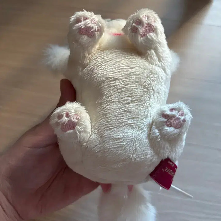 [BUNJANG] Rilakkuma Korilakkuma Button Cat Plush / 코리락쿠마 단추 고양이 인형