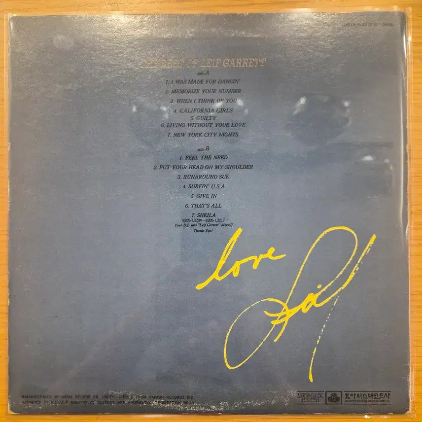 [BUNJANG] Leif Garrett LP / Leif Garrett lp