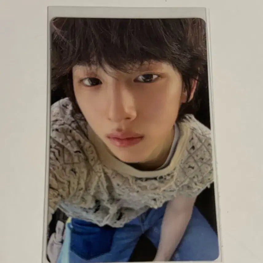[BUNJANG] CIX Jinyoung Photocard / 코르티스 주훈 포카 포토카드 판매