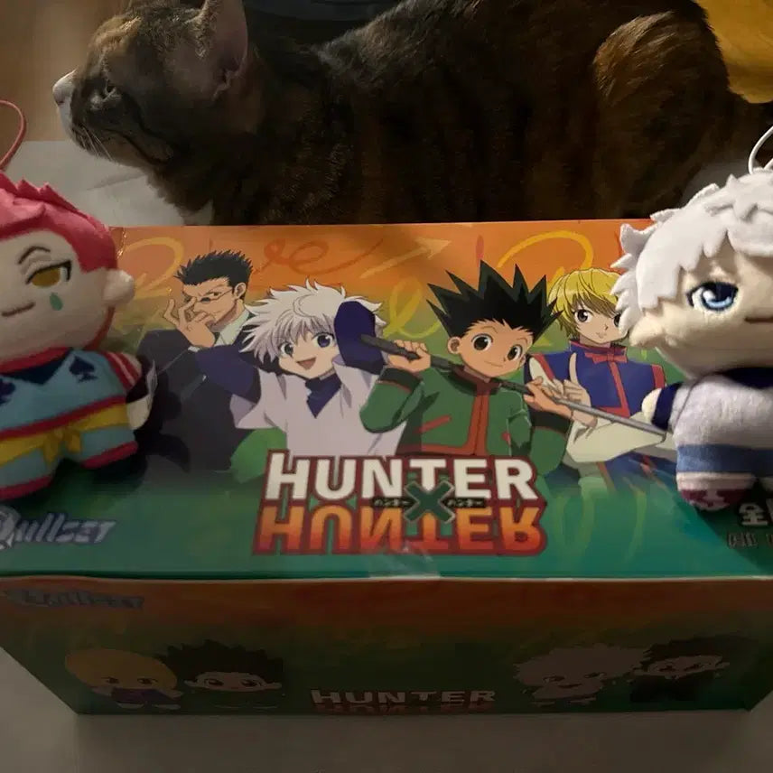 [BUNJANG] Hunter x Hunter Full Box Plush Set (6 Types) / 헌터헌터 눌셋누이 풀박스