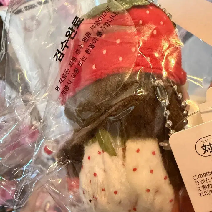 [BUNJANG] Bebechichi Strawberry Costume Doll / 딸기 코스튬 베베치치