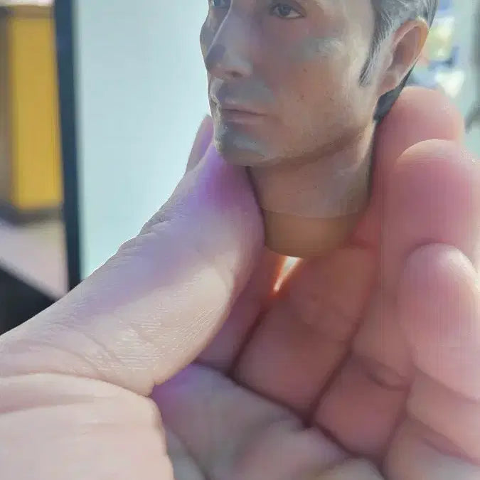[BUNJANG] 1/6 Scale Figure Head / 피규어 1/6 사이즈 헤드 팔아요