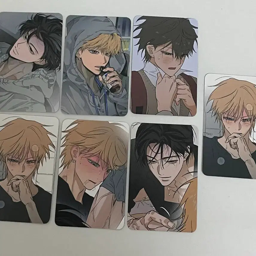 [BUNJANG] Full Set Collection Photocard Bundle Set / 풀북 컬렉션 포카 일괄