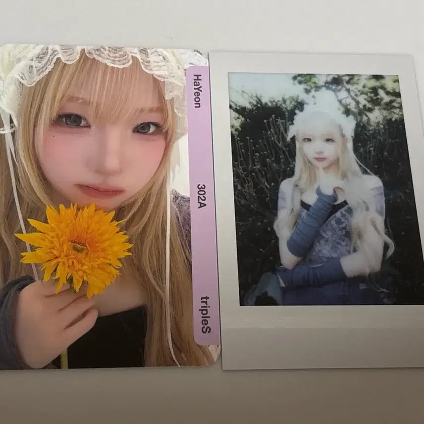 [BUNJANG] Haeyon Album Object CC302, Polar Set / 정하연 앨범 오브젝트 cc302, 폴라 세트