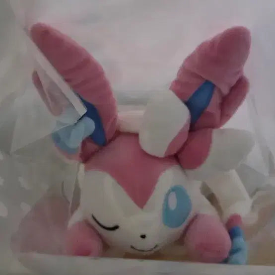 [BUNJANG] Pokemon Eevee Friends Plush Set / 포켓몬스터 보송보송 이브이 프렌즈 봉제인형 (일괄)