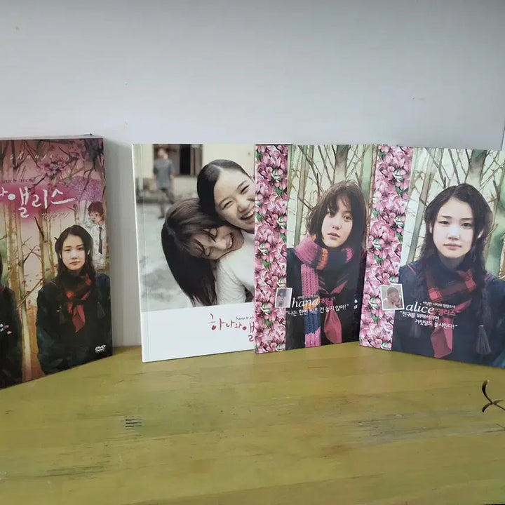 [BUNJANG] Hina &amp; Alice DVD / [DVD] 히나와 앨리스