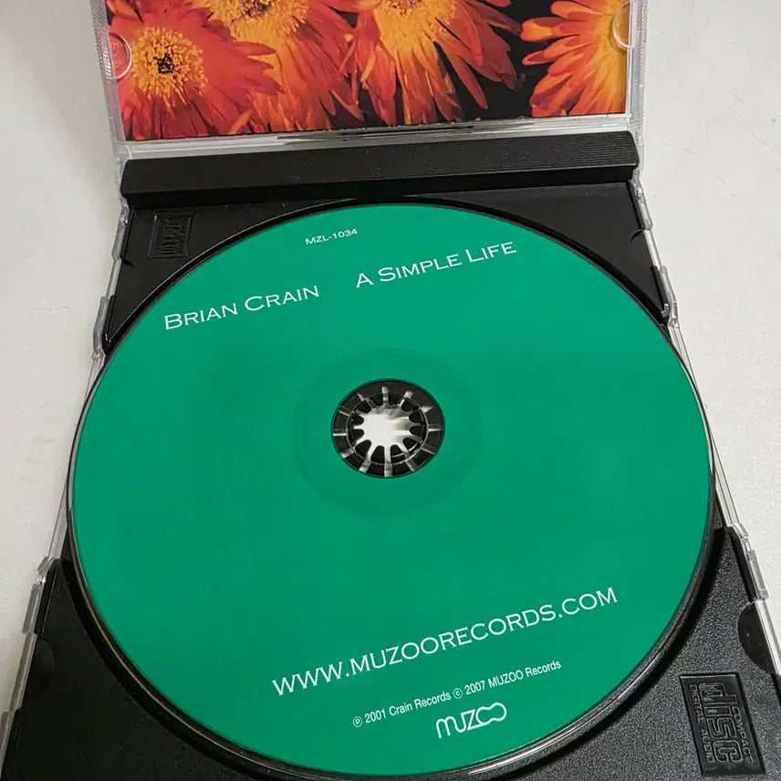 [BUNJANG] Brian Crain A Simple Life CD / Brian Crain - A Simple Life 브라이언 크레인