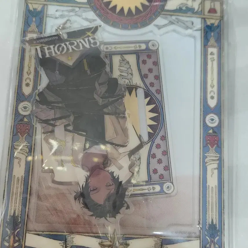 [BUNJANG] Arknights Thorns Acrylic Set / 명일방주 쏜즈 아크릴 일괄