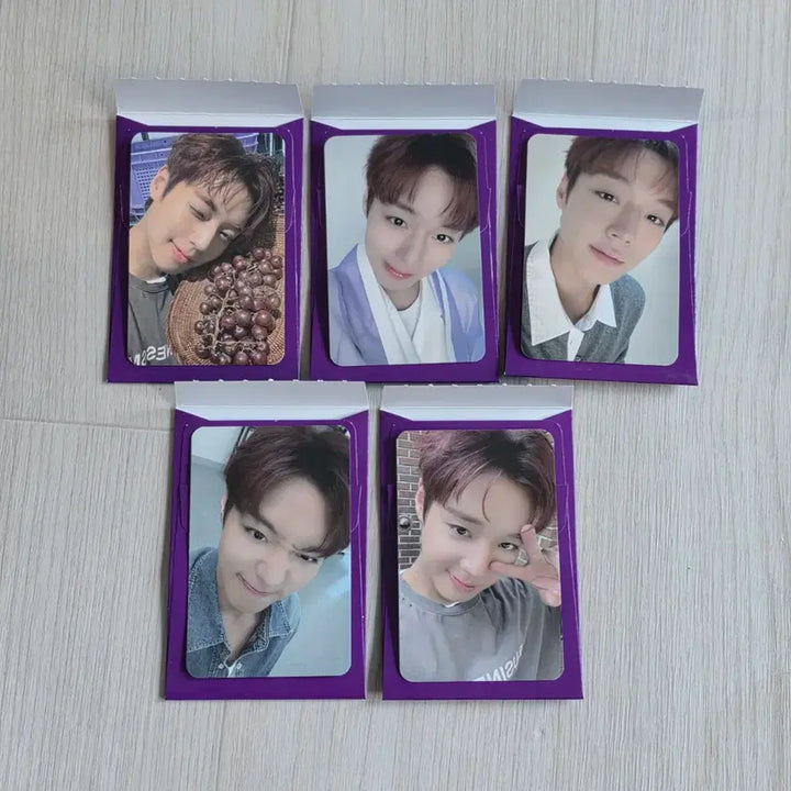 [BUNJANG] Park Jihoon The Venti Photocard Bundle Set / 더벤티 박지훈 포토카드 일괄 포카 드볼