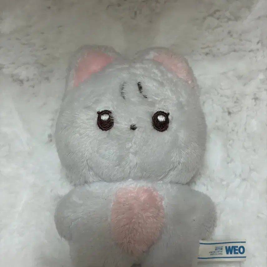 [BUNJANG] The Boyz Doll Unsealed / 더보이즈 인형 팝니다