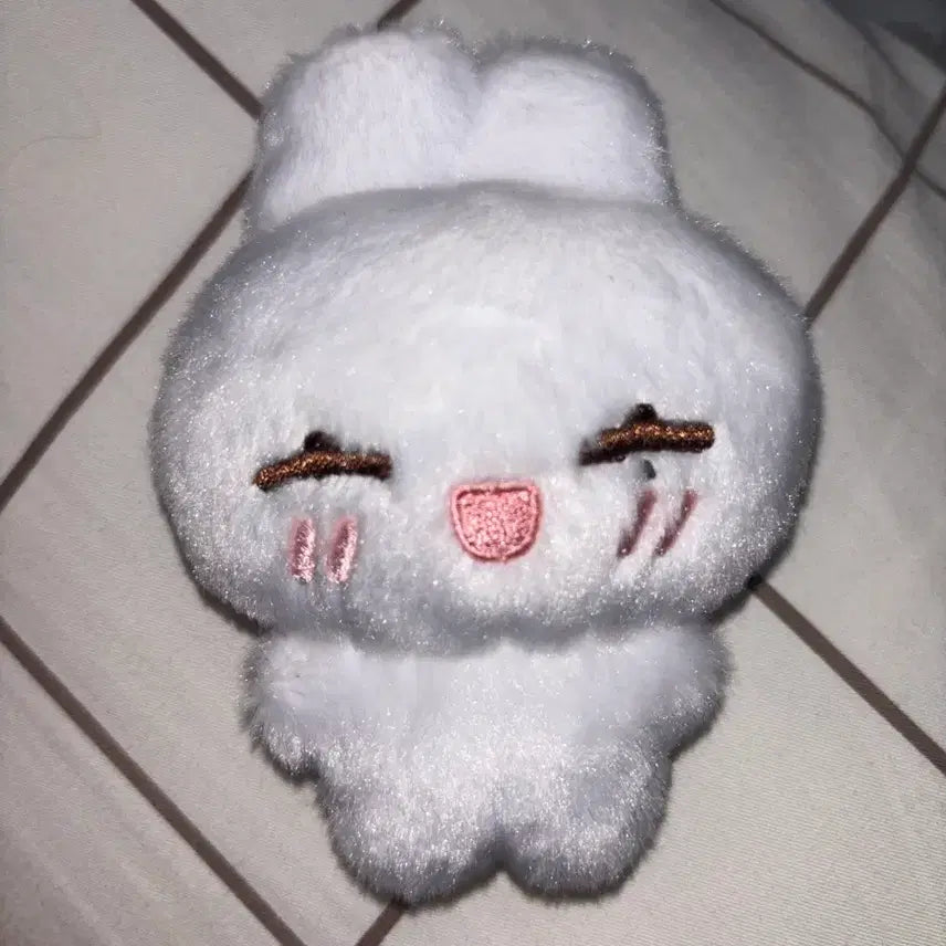 [BUNJANG] ENHYPEN Sunoo Happy Ddon Doll / 엔하이픈 선우 인형 해피떤
