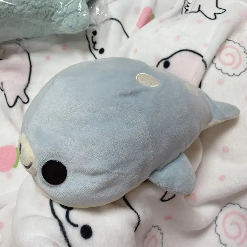[BUNJANG] Large Spotted Mamegoma - Sky Blue / (고정가)대형 마메고마 찰찰이 하늘색 점박이 마메고마