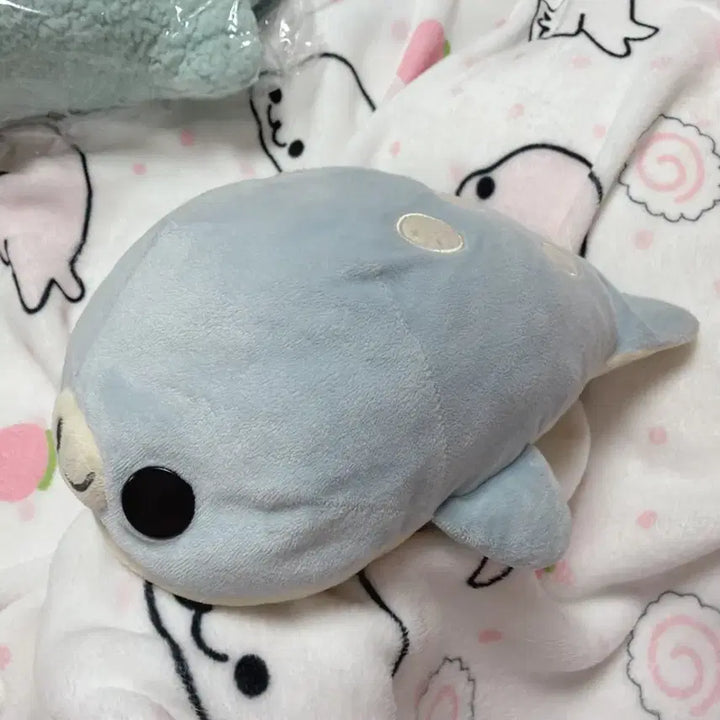 [BUNJANG] Large Spotted Mamegoma - Sky Blue / (고정가)대형 마메고마 찰찰이 하늘색 점박이 마메고마