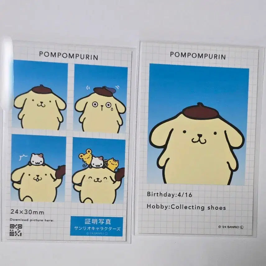 [BUNJANG] Sanrio Pompompurin Smalroid Bundle Set / 산리오 폼폼푸린 스마로이드 일괄