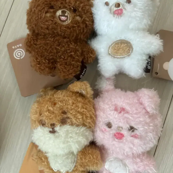 [BUNJANG] DAY6 DENIMALS Petitmals Magnet 4-Set Bundle Set / 데이식스 데니멀즈 쁘띠멀즈 마그넷 4종 일괄 양도 원가이하