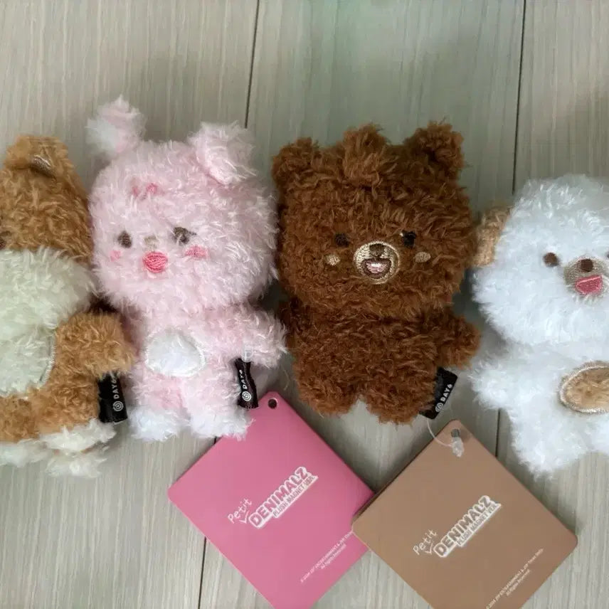 [BUNJANG] DAY6 DENIMALS Petitmals Magnet 4-Set Bundle Set / 데이식스 데니멀즈 쁘띠멀즈 마그넷 4종 일괄 양도 원가이하