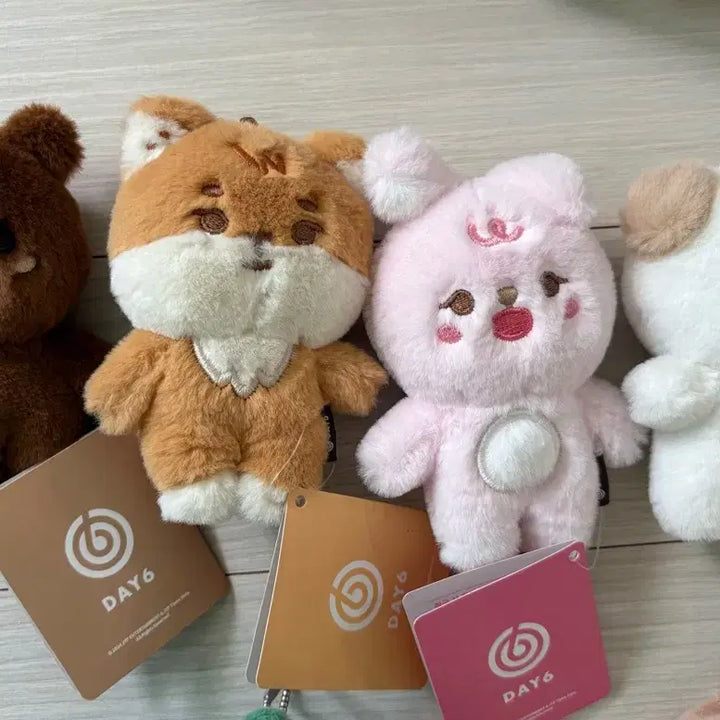[BUNJANG] Day6 Denimals Petitimals Bundle Set / 데이식스 데니멀즈 쁘띠멀즈 일괄 원가이하 양도
