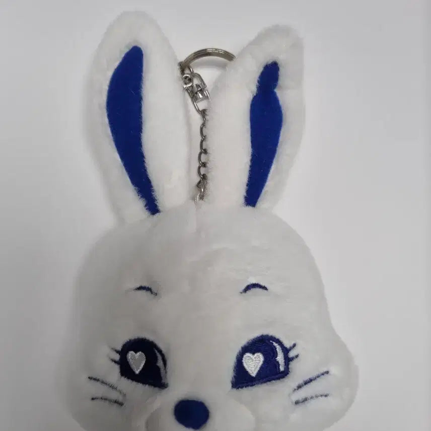 [BUNJANG] Bunnies 1st Membership Kit Photocard Holder / 버니즈 1기 멤버쉽 키트 양도
