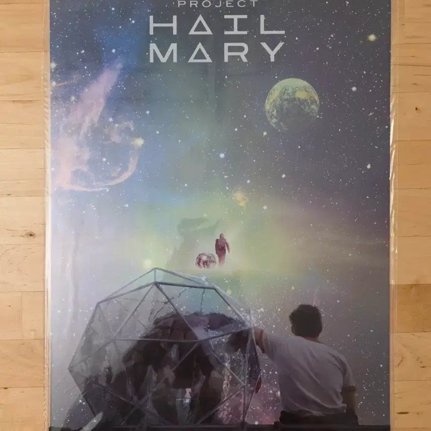 [BUNJANG] Project Hail Mary PET Poster / 프로젝트 헤일메리 pet 포스터