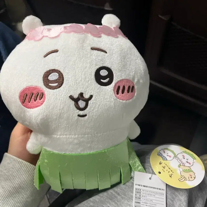 [BUNJANG] Chiikawa Official Plush / 치이카와 일본 직수입 정품인형