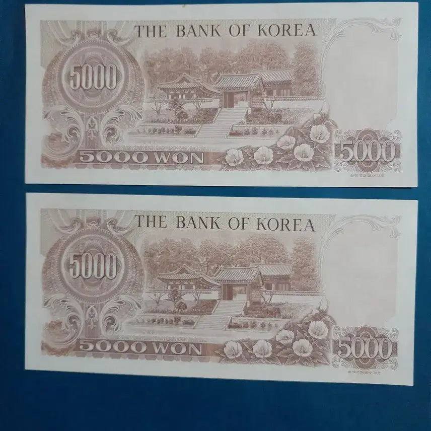 [BUNJANG] 5,000 Won Banknote Set - Consecutive Numbers / 2차 오천원권 연번호2장일괄