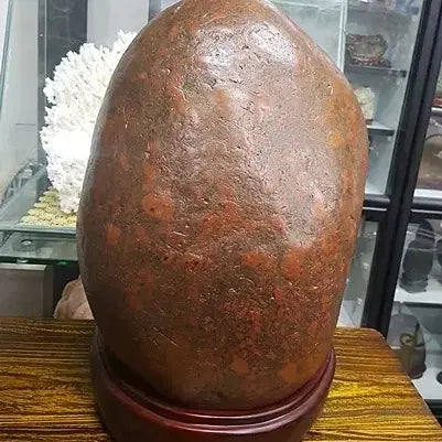 [BUNJANG] Rare Flower Stone / 꽃돌/수석
