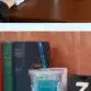 [BUNJANG] Stellive Tabi Tumbler Unused / 스텔라이브 타비 텀블러 미사용