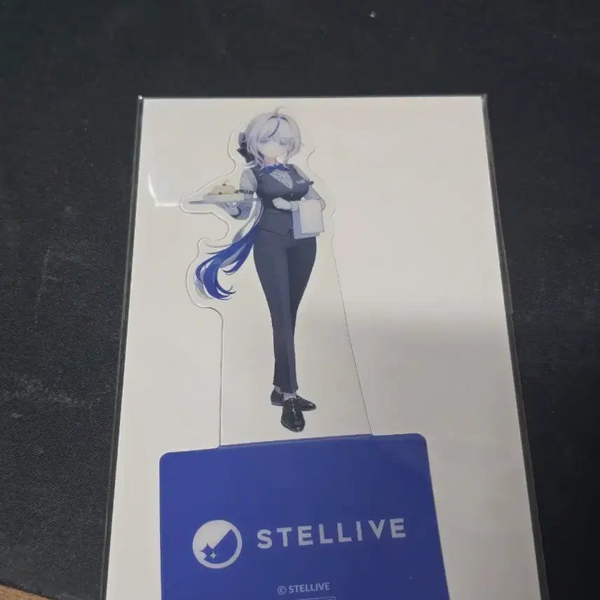 [BUNJANG] Stella Live Aokumo Rin LD PET Stand / 스텔라이브 아오쿠모 린 ld pet 스탠드