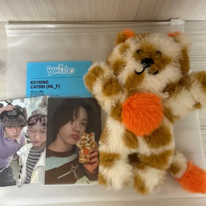 [BUNJANG] NCT Johnny Catnip Photocard / 쁘넥도 1기 캣삐