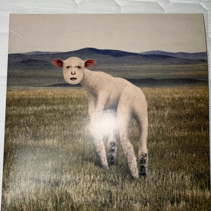 [BUNJANG] Thornapple Animal LP / 쏜애플 동물 lp 엘피