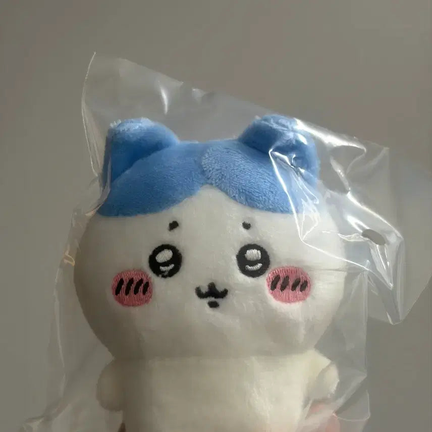 [BUNJANG] Sealed Sitting Plush Hachiwara / (미개봉) 앉은누이 하치와레