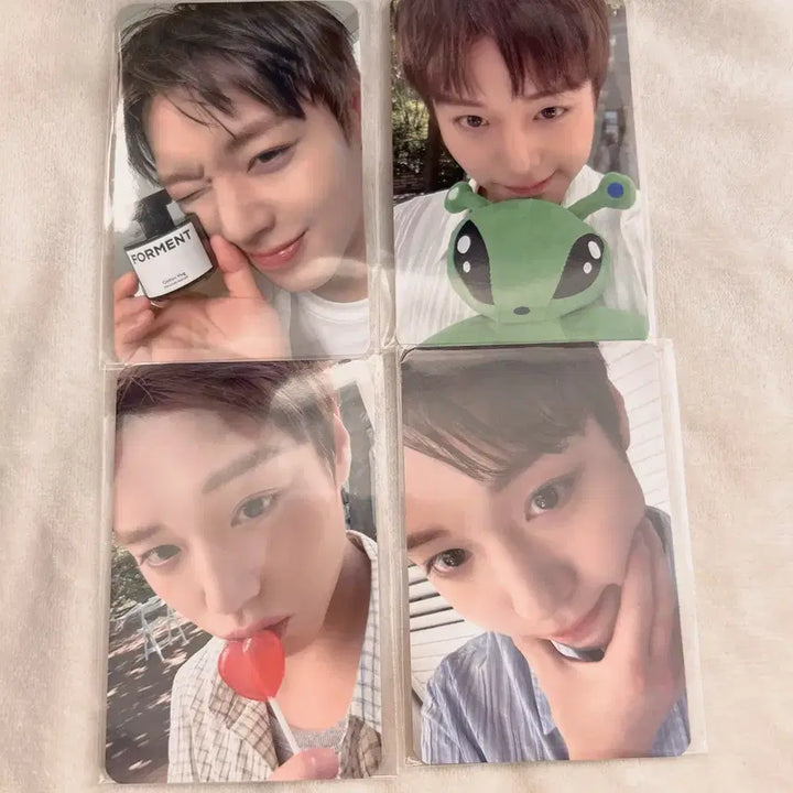[BUNJANG] Park Ji Hoon FORMENT Photocard Set (4 types) / 박지훈 포맨트 포토카드 4종 세트