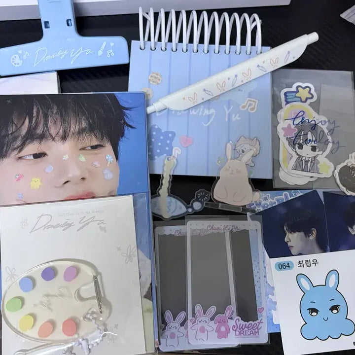 [BUNJANG] Choi Ripwoo Official Goods Bundle Set / 솔로 최립우 앨범 및 공식굿즈 일괄 양도