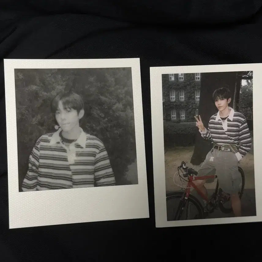 [BUNJANG] RIIZE Shotaro Polaroid Bundle Set / 라이즈 쇼타로 폴라로이드 굿즈 일괄