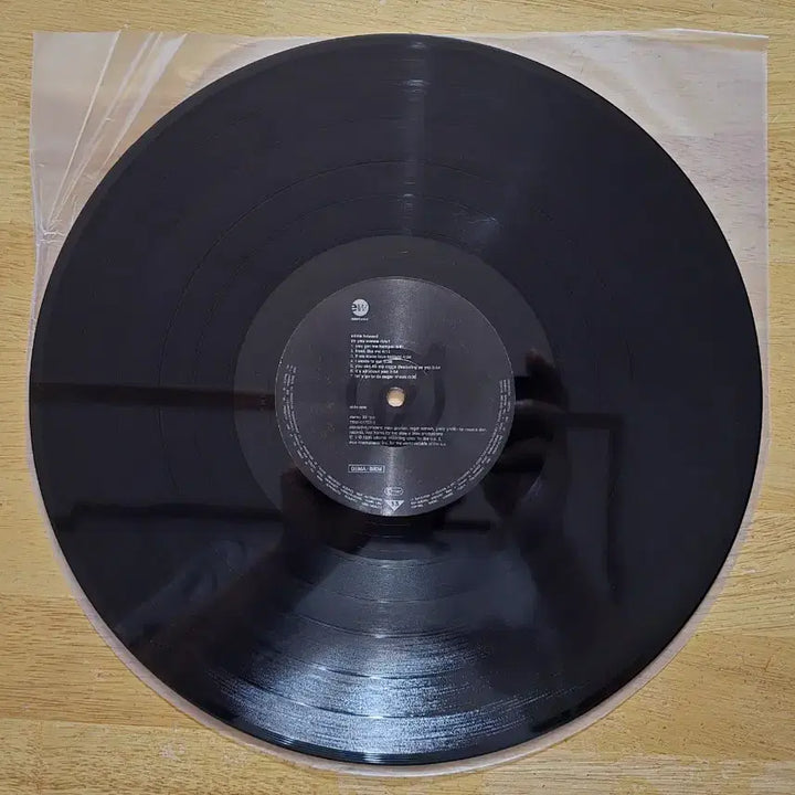 [BUNJANG] Adina Howard Do You Wanna Ride? LP Record / LP 레코드 Adina Howard 아디나 하워드 - Do You Wanna Ride?