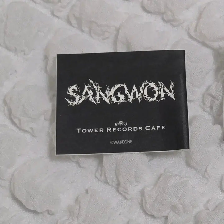 [BUNJANG] ALDI ONE Sangwon Tower Records Cafe Graphic Pick / 알디원 상원 타워레코드 카페 그림 픽