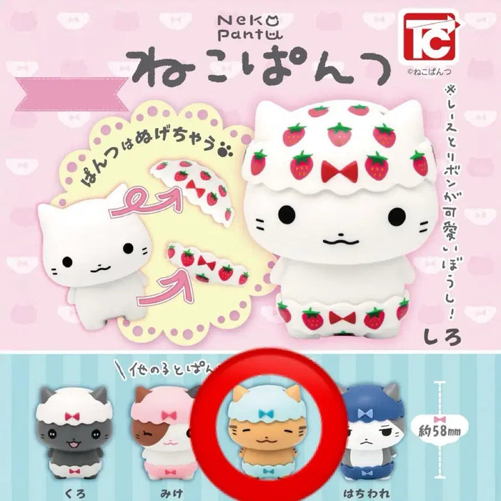 [BUNJANG] Neko Pants Random Gacha Figure Torra (Sealed) / (미개봉)네코팬츠 네코판츠 랜덤 가챠 피규어 뽑기 팬티고양이 토라