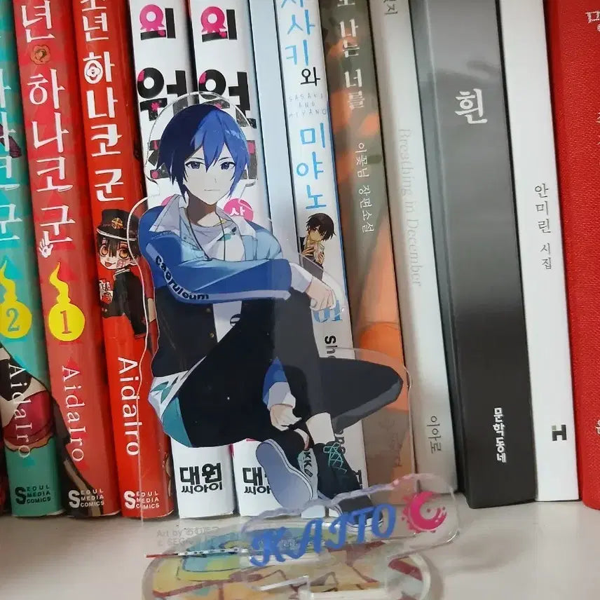 [BUNJANG] Connect Live Kaito Goods / 프세카 커넥트라이브 비배스 카이토