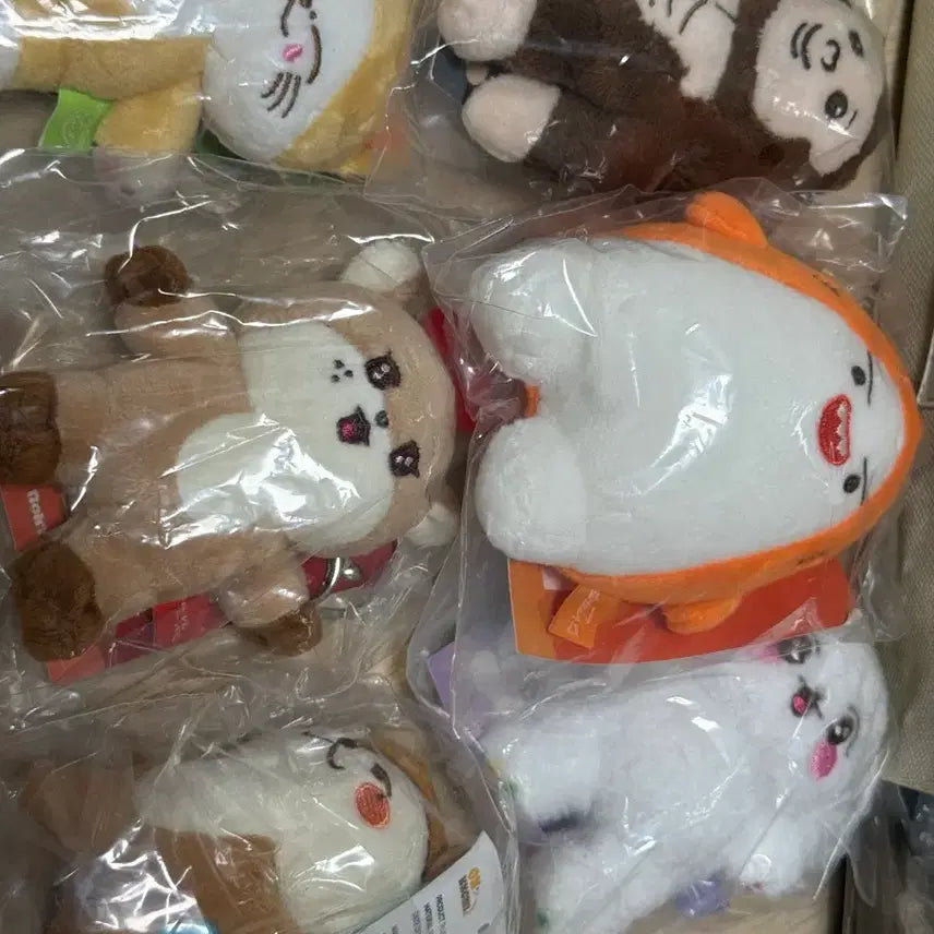 [BUNJANG] ONF ONKKOMIZ Keyring Doll Keyring Bundle Set / 온앤오프 ONF 온꼬미즈 키링 인형 키링 6개 일괄