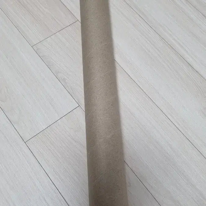 [BUNJANG] Isekai Idol Chasydol A2 Poster / 이세계아이돌 차세돌 A2 포스터