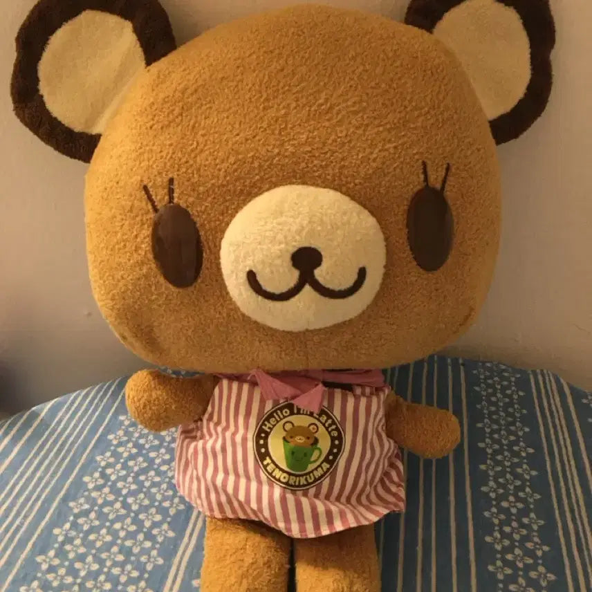 [BUNJANG] Teddy Bear Plush Doll with Clothes / 테노리